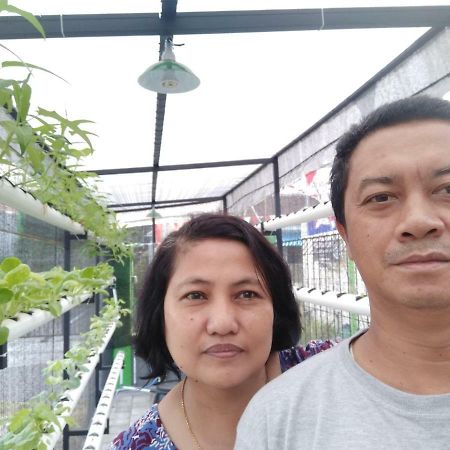 Titan's Greenhouse Banyuwangi  Buitenkant foto